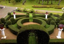 Особенности проектирования ландшафтного дизайна