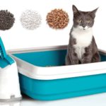 Кошачий наполнитель: виды