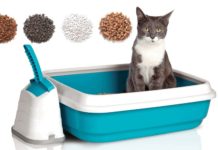 Кошачий наполнитель: виды