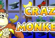 Игровой автомат Crazy Monkey: правила онлайн игры