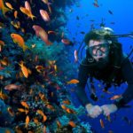 Дайвинг: удивительное приключение, наполненное яркими красками и необычными впечатлениями