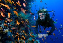 Дайвинг: удивительное приключение, наполненное яркими красками и необычными впечатлениями