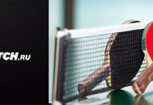 Секреты ставок на настольный теннис