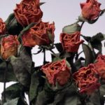 Опасные признаки того, что в доме скопилась негативная энергия