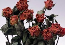 Опасные признаки того, что в доме скопилась негативная энергия