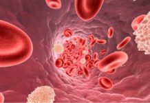 Медики раскрыли пользу миндаля для сосудов