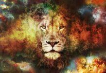 12 причин, почему Лев – самый лучший знак Зодиака