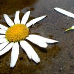 Как ведут себя знаки Зодиака, когда их чувства проходят