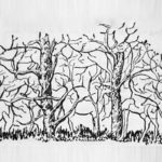 Первое животное, которое увидите на картинке, раскроет суть вашей личности