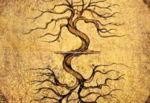 Не спешите мстить, пусть карма сама сделает грязную работу