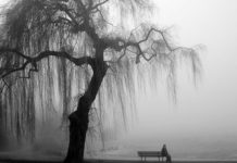 5 признаков того, что вы оказались на пороге больших жизненных перемен