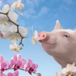 Ароматизатор как вкус будущего продукта