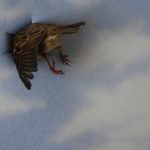 Они не ходят вокруг да около: 5 самых прямолинейных знаков Зодиака