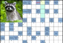 В чем сложность разгадывания сканвордов?