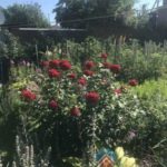 Новосибирская область: отличное место для вашего отпуска