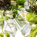 Экотовары 21 века.