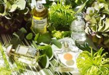 Экотовары 21 века.