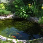 Для чего нужен аэратор в пруду?