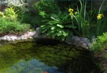 Для чего нужен аэратор в пруду?