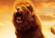 4 самых могущественных знаков Зодиака и их тайные силы