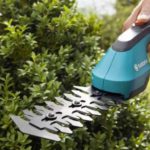 Виды кусторезов и все, что стоит о них знать