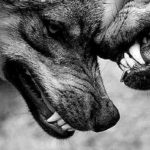 Три худших качества каждого знака Зодиака