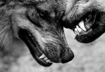 Три худших качества каждого знака Зодиака