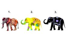 Каким душевным контрактом вы сейчас связаны? Чтобы узнать, выберите одно из изображений!