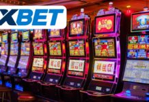 Вo что играть в 1хБет казино?