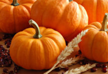 Топ-7 полезных свойств тыквы для здоровья
