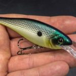 Лучшие наживки для водоемов с пресной водой