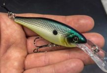 Лучшие наживки для водоемов с пресной водой