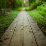 Боже, дай мне сил в те дни, когда я не могу двигаться дальше