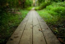 Боже, дай мне сил в те дни, когда я не могу двигаться дальше