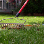 Садовый минимум: 5 главных инструментов для дачи