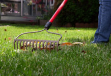 Садовый минимум: 5 главных инструментов для дачи