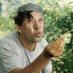 Видео анекдоты: появление и особенности