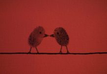 3 самых преданных знака Зодиака, которые должны быть в вашей жизни