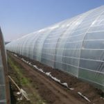 Специализированный магазин строительных материалов предлагает в Северной столице большой выбор тепличных пленок