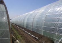 Специализированный магазин строительных материалов предлагает в Северной столице большой выбор тепличных пленок