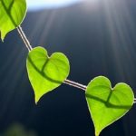 4 знака Зодиака, которые принимают все слишком близко к сердцу