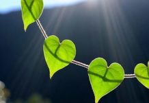 4 знака Зодиака, которые принимают все слишком близко к сердцу