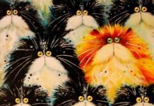 Лучшая порода кошек для каждого знака Зодиака