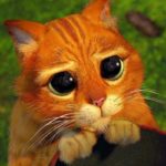 Как просить прощения у разных знаков Зодиака