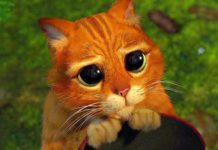 Как просить прощения у разных знаков Зодиака