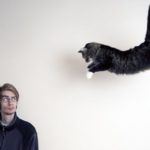 Страх перед животными может многое рассказать о вашем характере