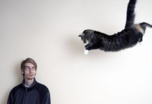 Страх перед животными может многое рассказать о вашем характере