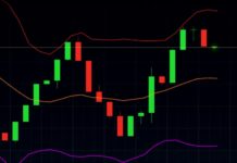 Секреты Пипсовки на Форекс