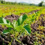 Ресурсосберегающие мероприятия в сельском хозяйстве