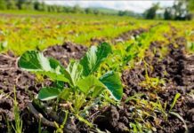 Ресурсосберегающие мероприятия в сельском хозяйстве